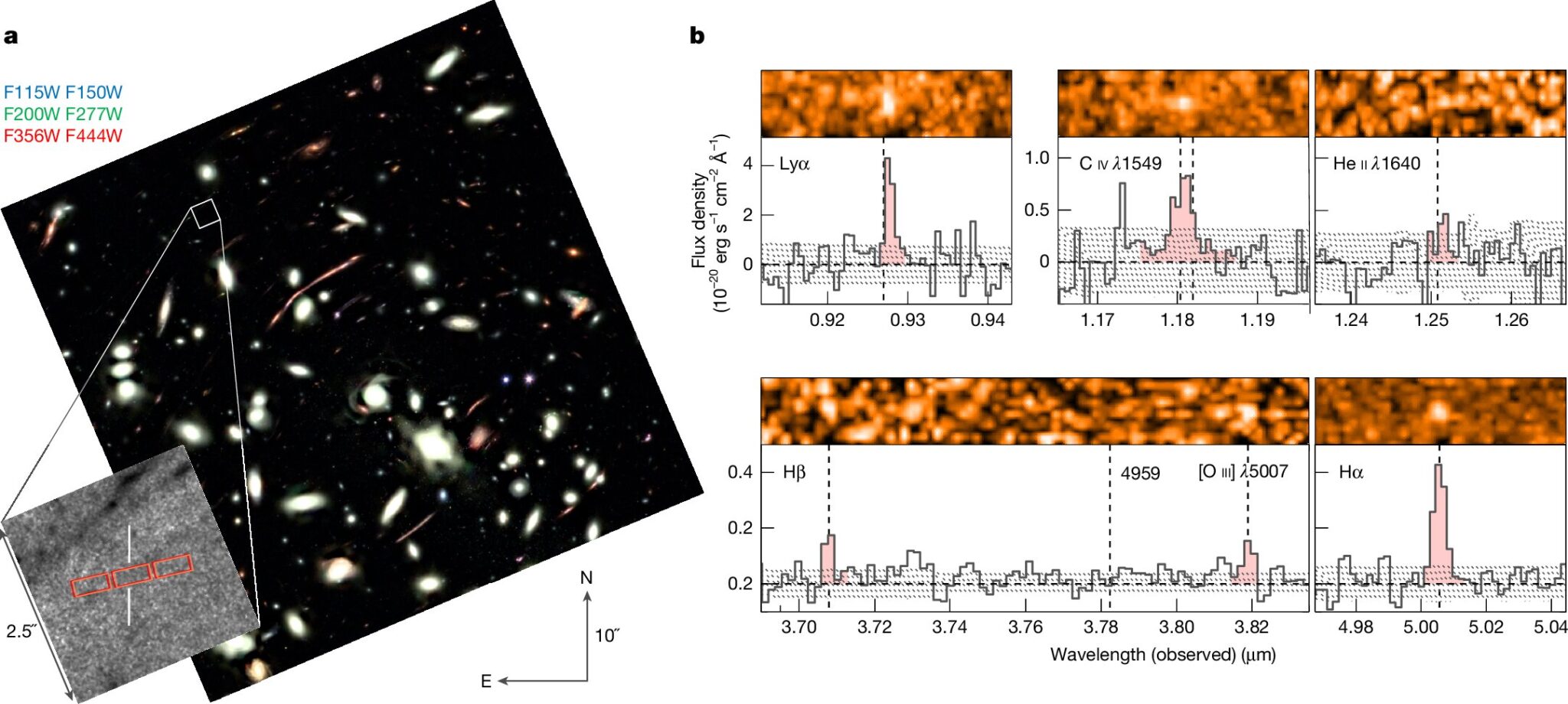 JWST������һ��130������ʷ����ϵ�����ܱ����������������ǵļ���