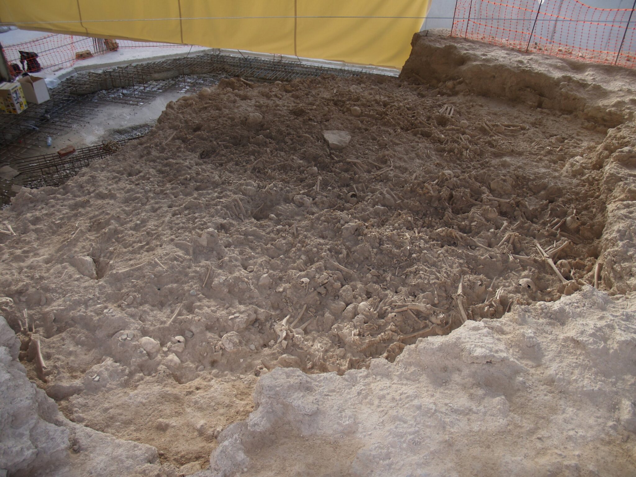 古代集体坟墓揭示了近5000年前影响大多数儿童的呼吸道疾病