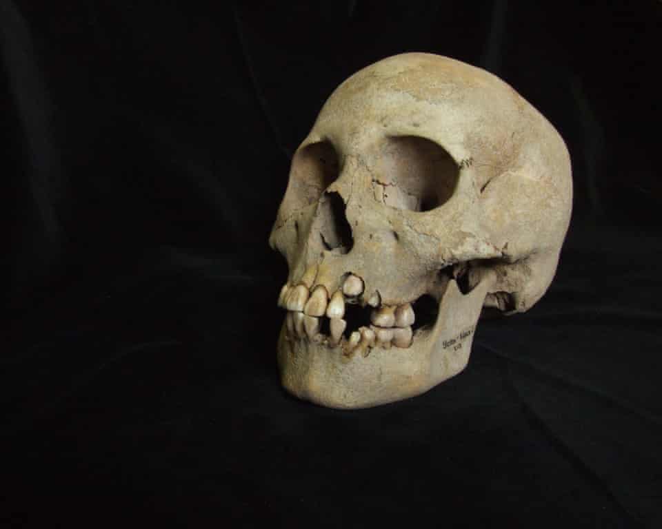 ���ϵ�DNA��ʾ��5500��ǰ��������ɱ�����࣬Զ�ڳ��д���֮ǰ