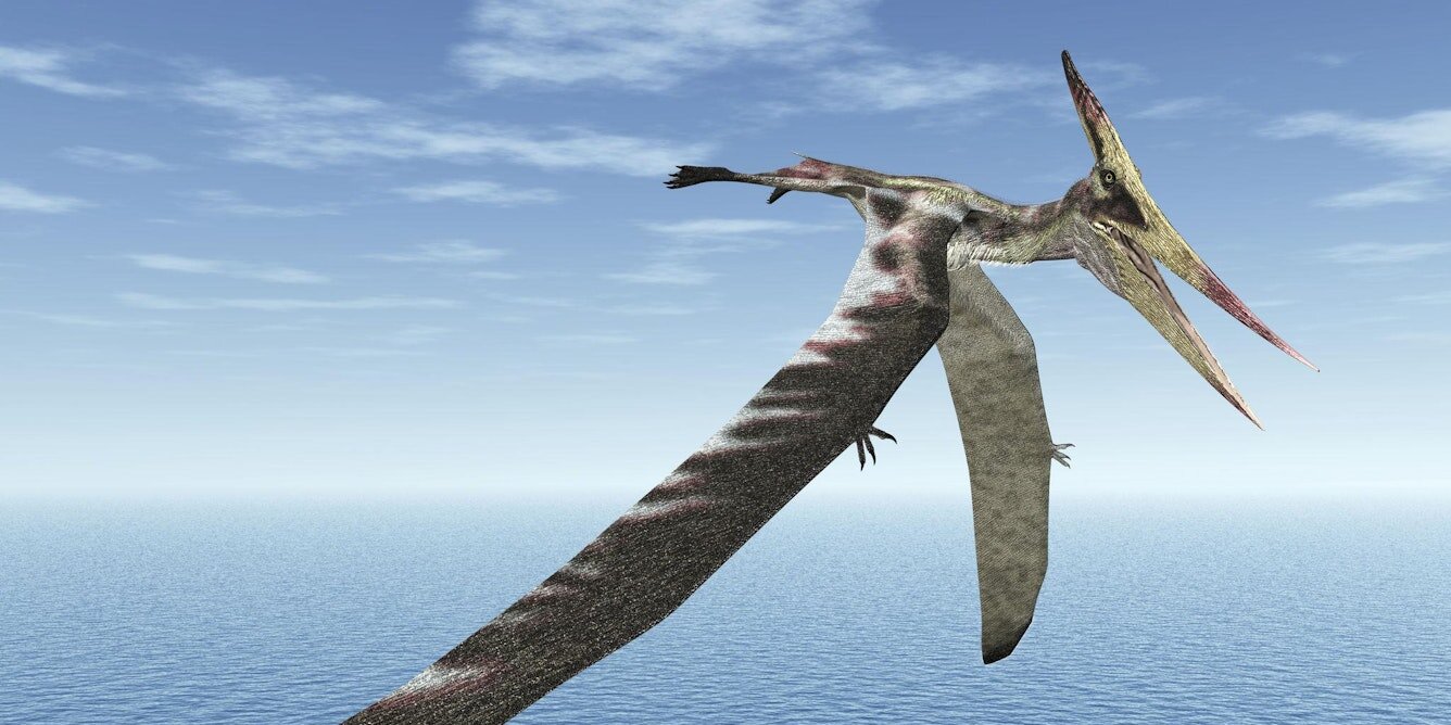 微生物破坏了一只古代翼龙的翼骨,然后将其保存了1亿年