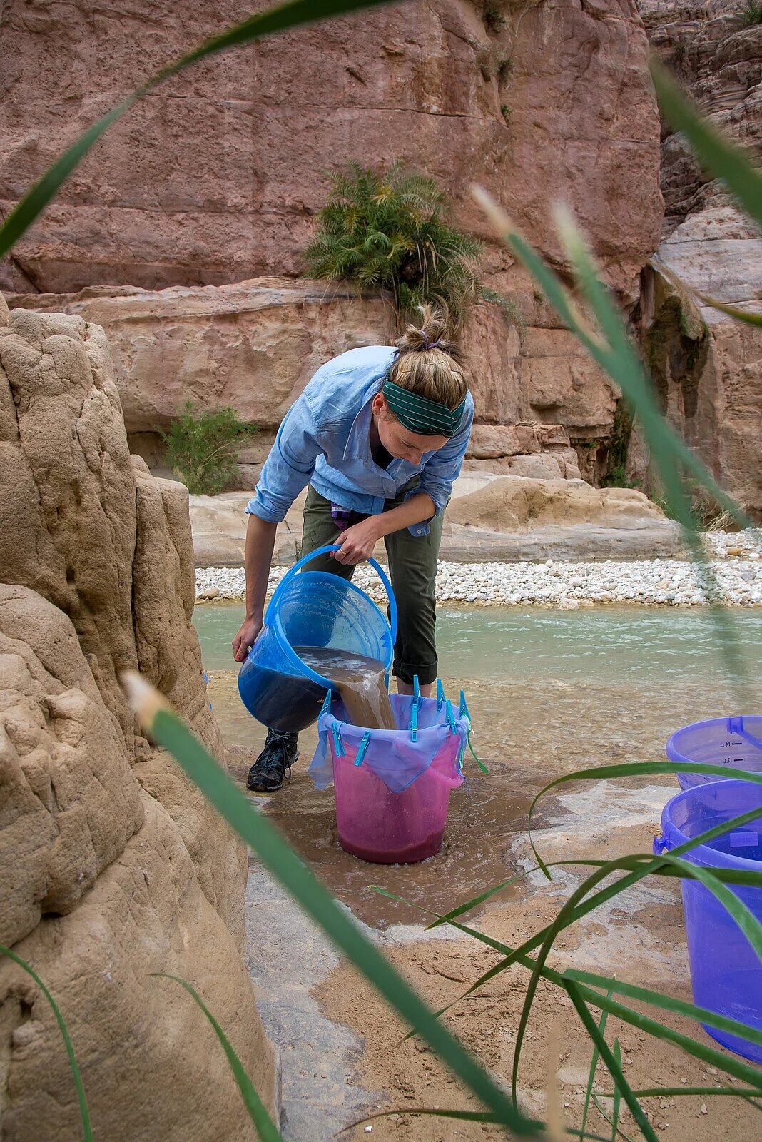 早期农民的较大谷物可能反映了降雨量,而非遗传选择