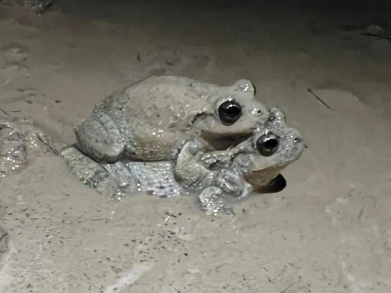 ������ô�ܻ�ӭ����������Ѱ����ż�Ĵ������ܸе�����