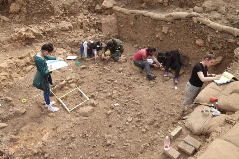 1.5万年前沙漠居民以蛇和蜥蜴为食,纳图菲亚人懂得如何屠宰他们的爬行动物