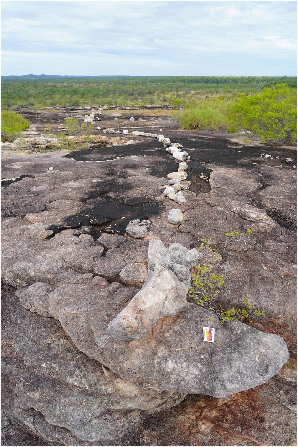 研究发现,随着殖民化的到来,土著艺术家画出了巨大的祖先生物