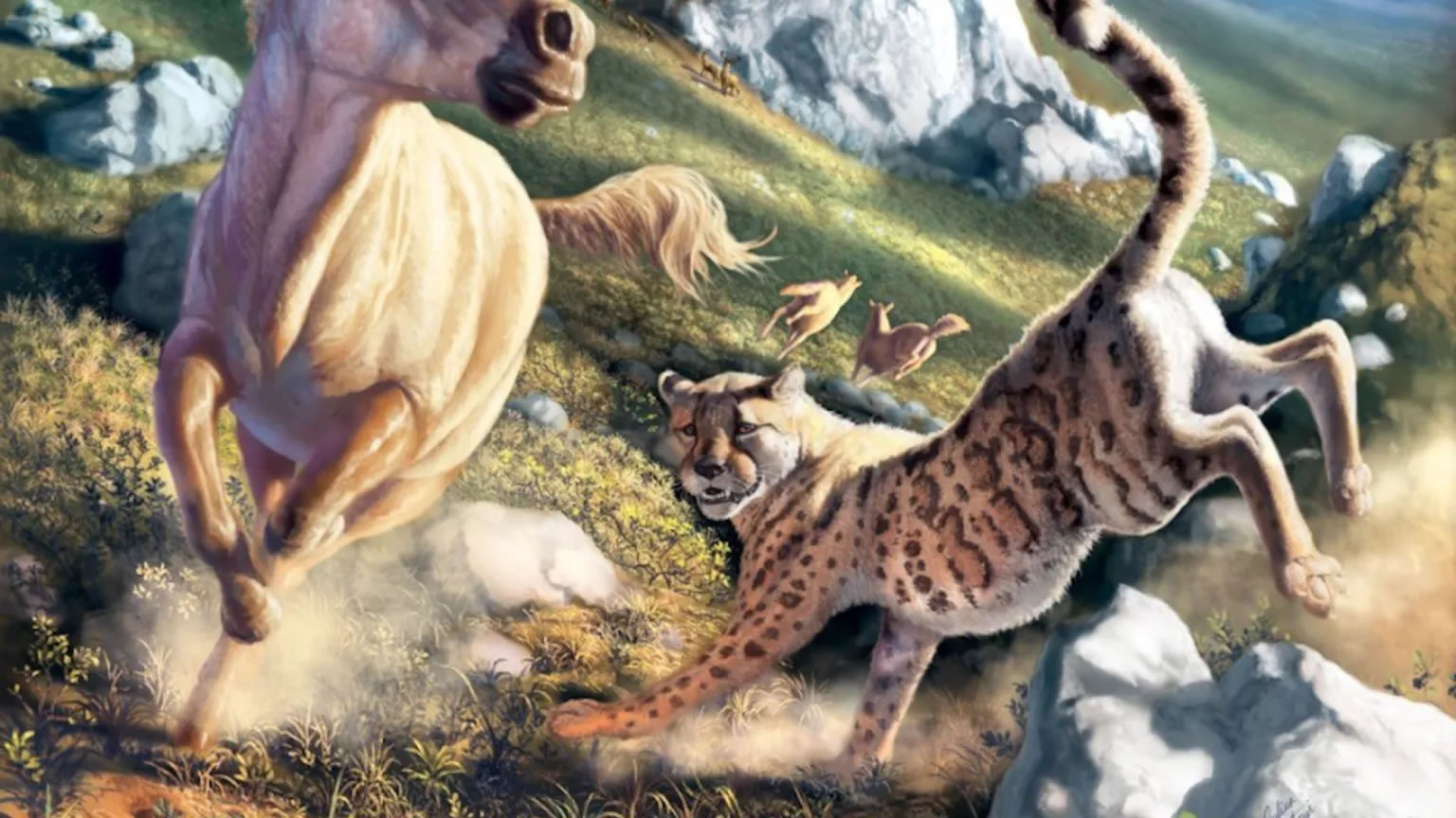 古代美洲猎豹并不完全像猎豹
