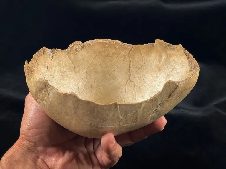 食人现象在新石器时代的欧洲多次重返菜单