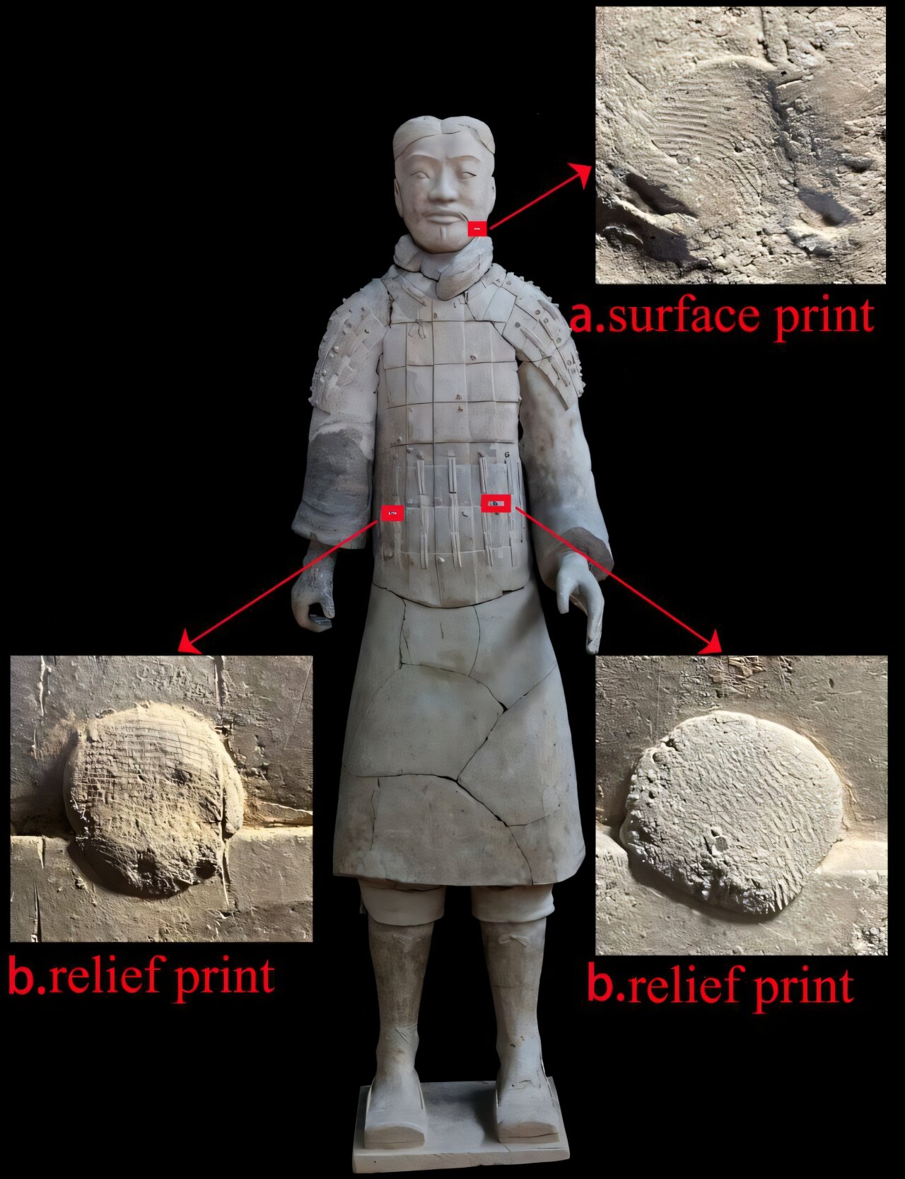中国的兵马俑究竟是谁制造的?指纹揭示了新的线索