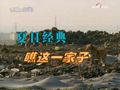 夏日经典-瞧这一家子(一)