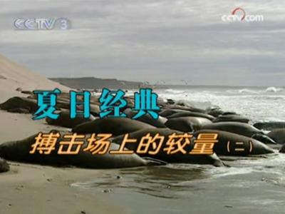 夏日经典-搏击场上的较量(二)