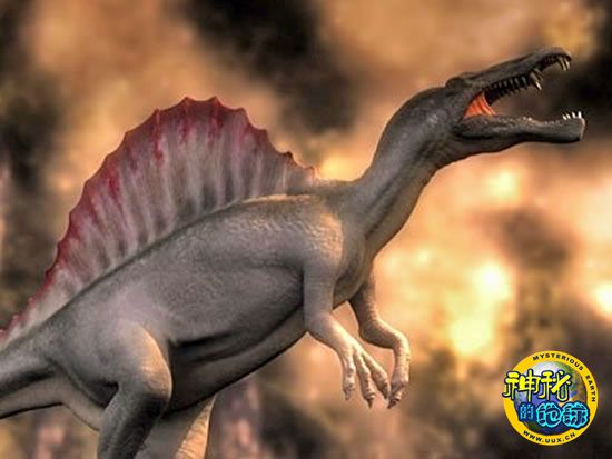 棘背龙体长达到60英尺,它是最大的食肉恐龙物种之一,甚至比可怕的霸王