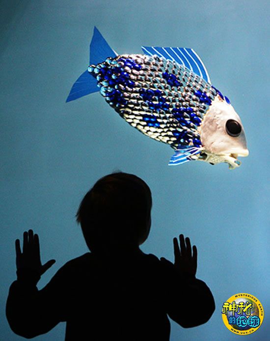 海洋仿生机器人