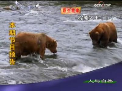 ����֮�����£�