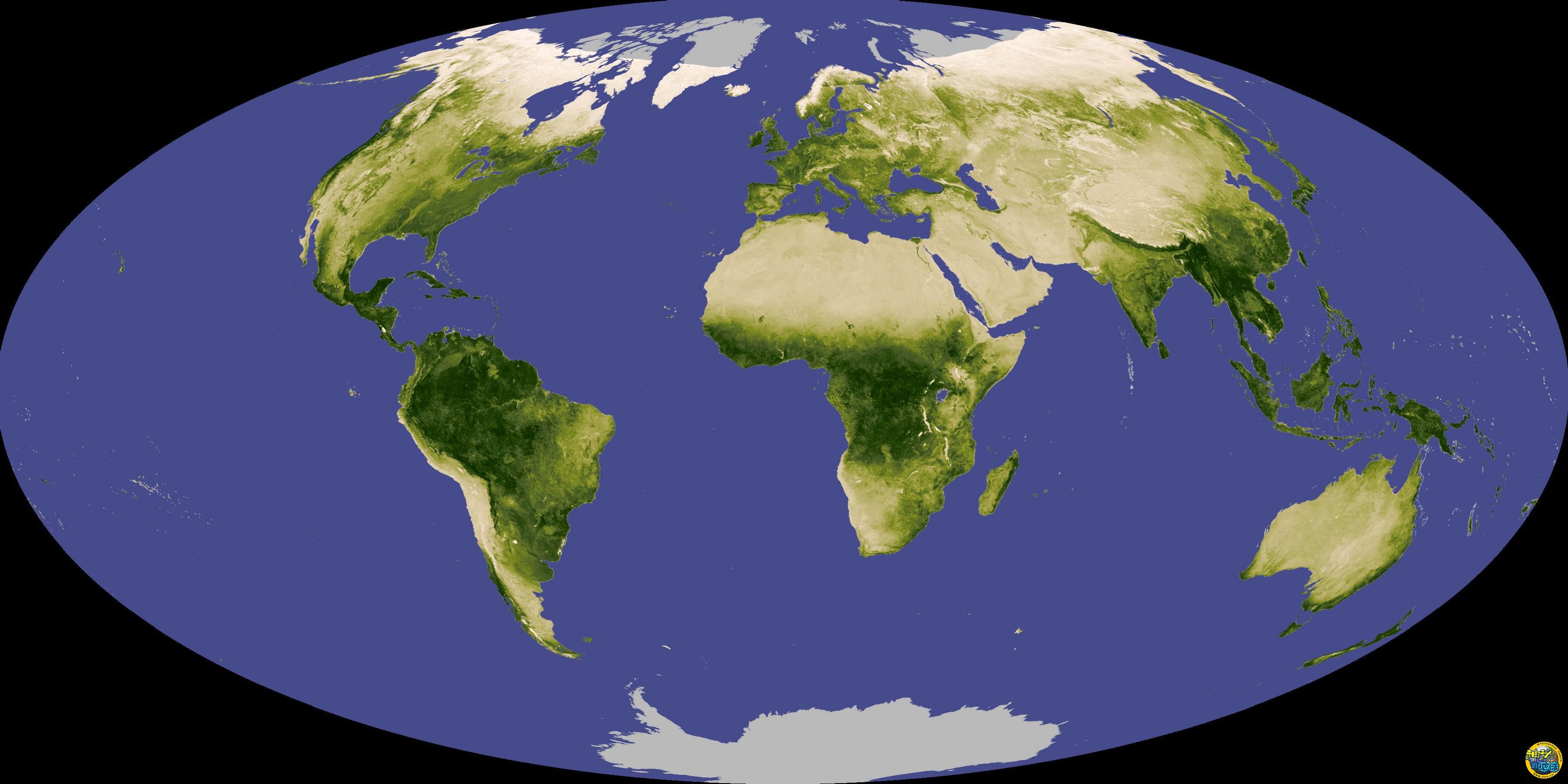 全球植被分布情况