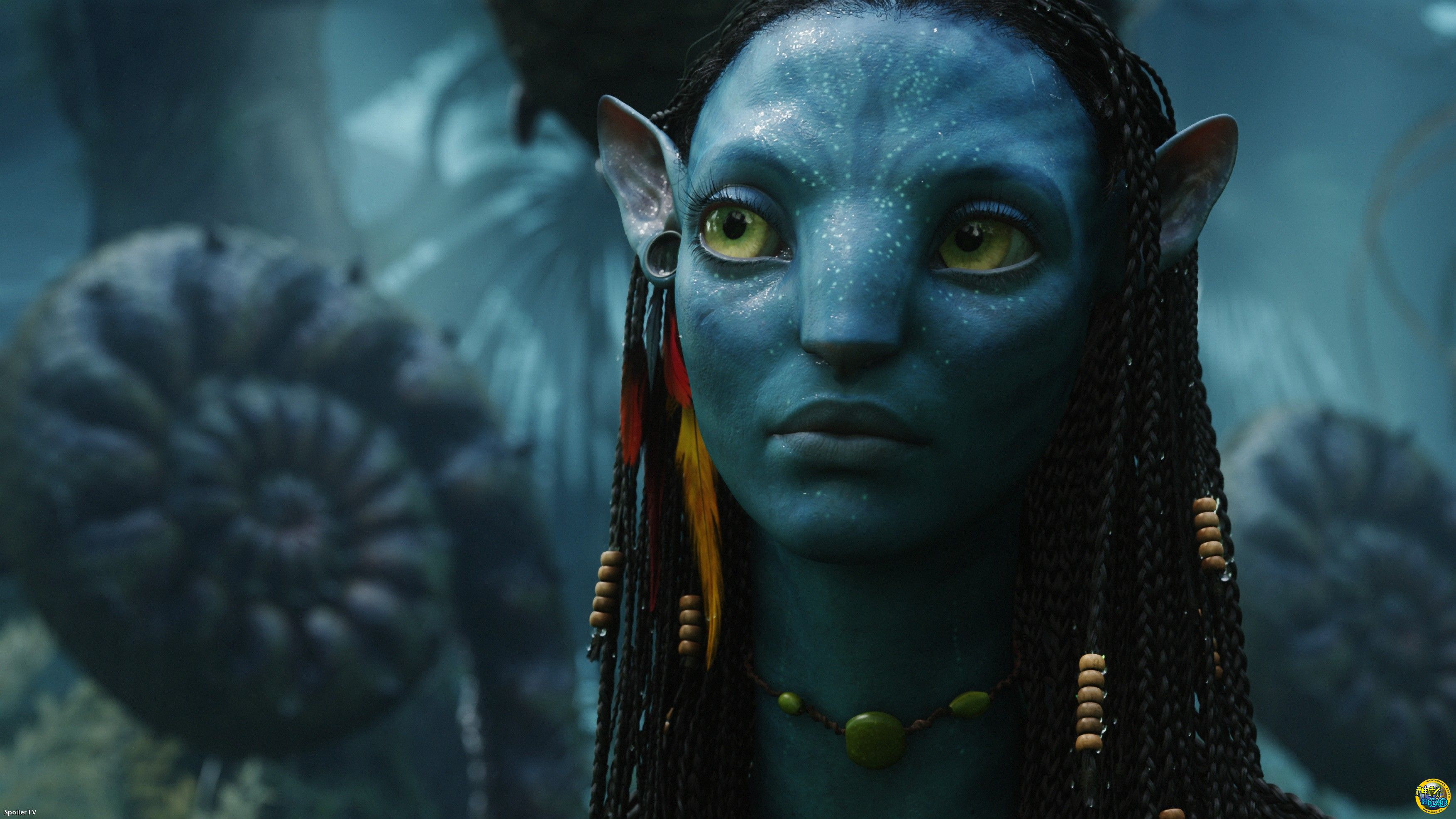 《阿凡达》剧照