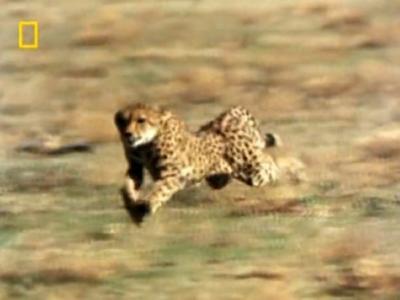 ½�ϱ������Ķ���Ա�