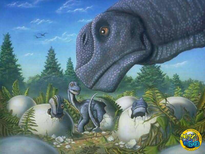 圆顶龙camarasaurus复原图