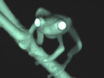 ���Ժ�������ͨ���ڶ��β�������в�ź�