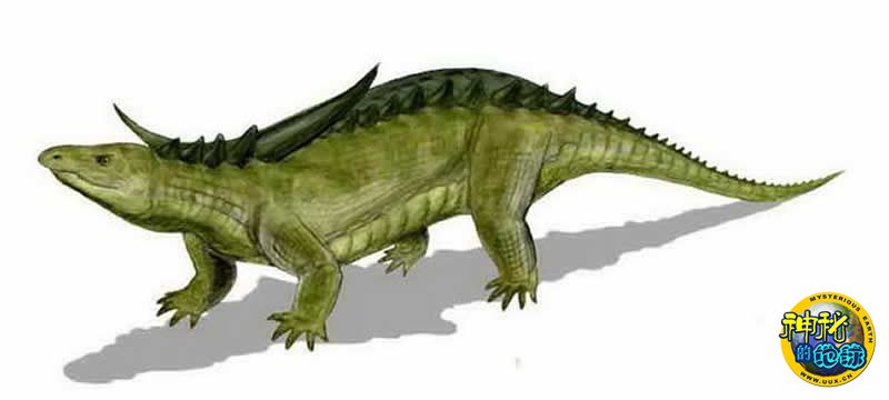 棘鳄龙