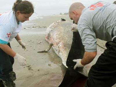 ����ʥ�����ϲ�����С�뾨��ǳ����