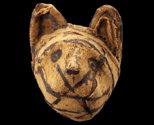 古埃及时期盛行制作动物木乃伊