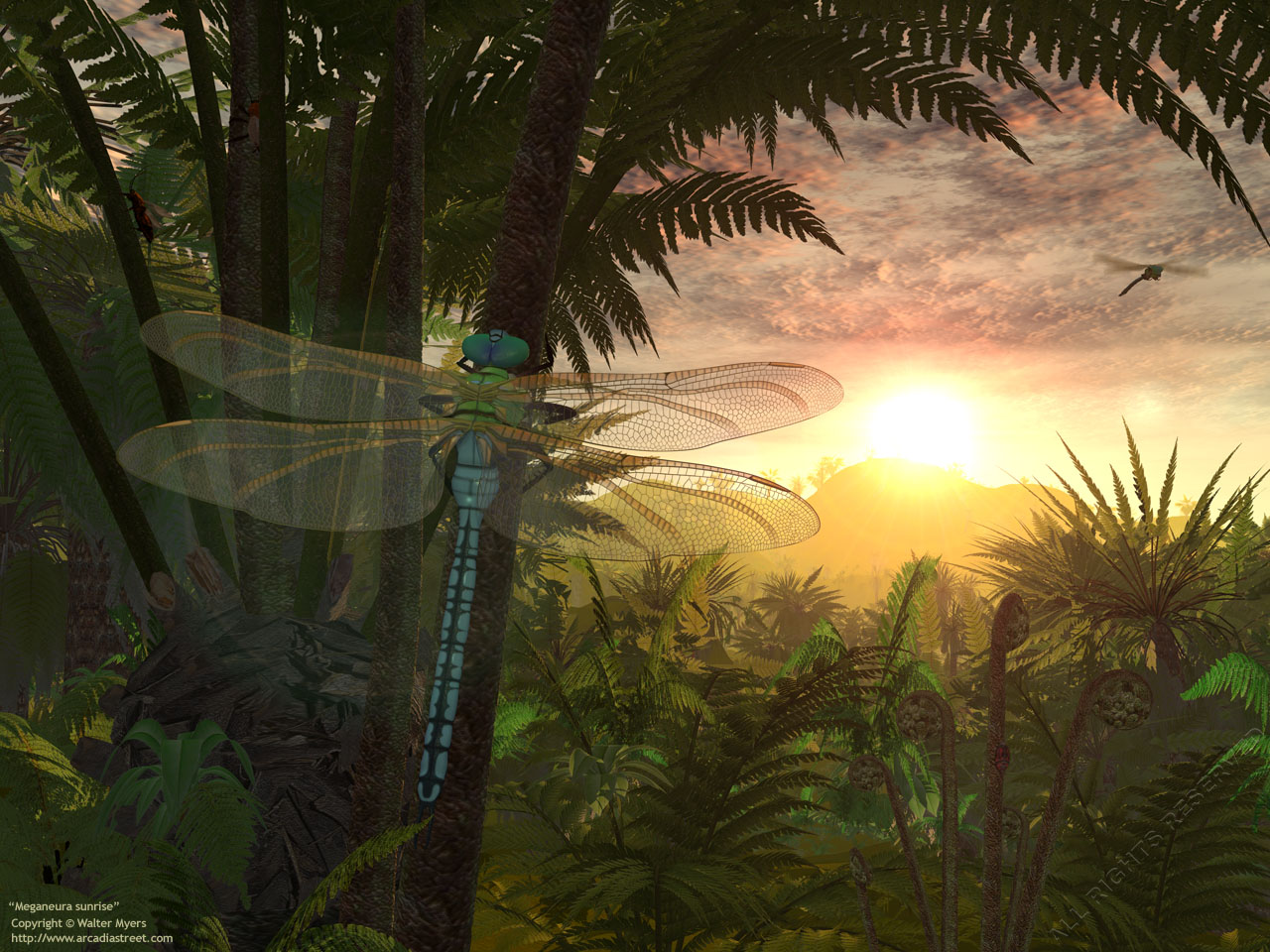 古生代(paleozoic)环境复原图 - 神秘的地球 科学|自然|地理|探索