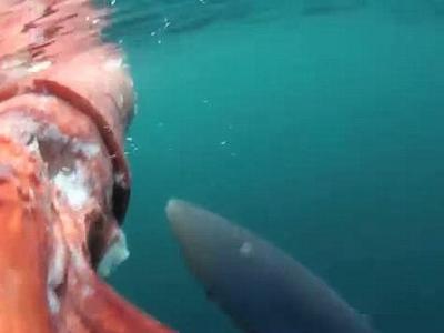 ����������������������"��"��һ���󶴡���������ԭ��Ŀǰ�в�������������������ͨ��������һ�ꡣ