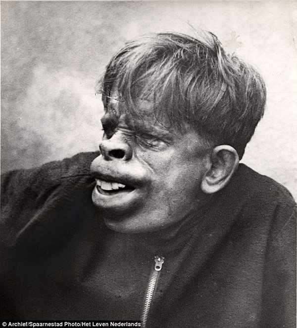 旧时猿人的照片