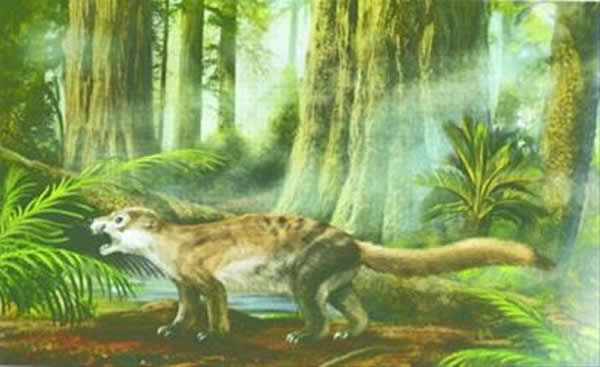 胡氏辽尖齿兽复原图