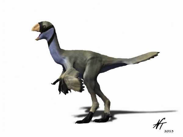 揭秘世界最小窃蛋龙迷你豫龙