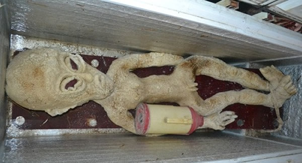 滨州市民夜晚意外电死外星人?