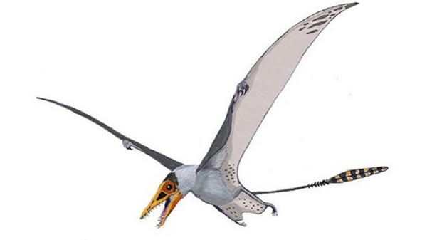 一亿年前英国上空曾遍布翼龙