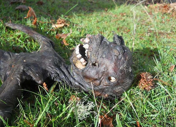 南非自然谷出现一具不明生物遗体