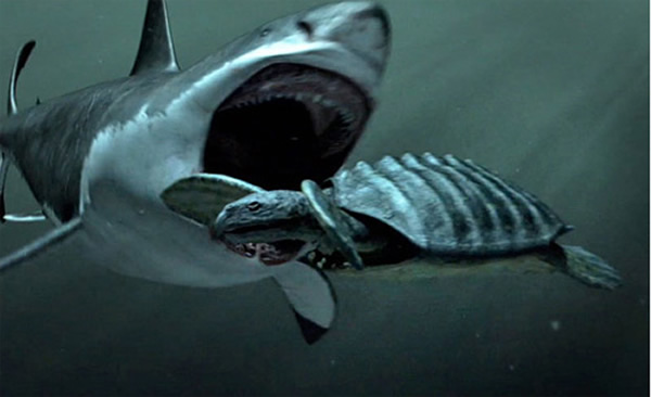 探索频道纪录片巨齿鲨怪物鲨鱼还活着