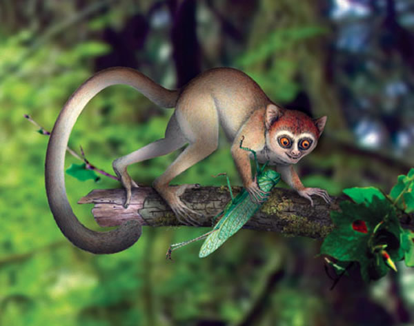 中国古动物馆2013年国庆特展:"人类550_文库啦