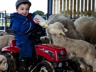 最早的流感什么时候出现