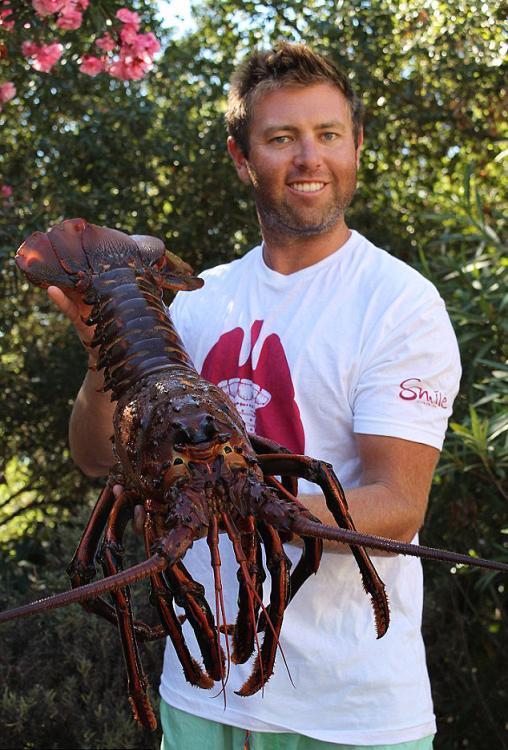 美国生物学家夜间潜水捞到一只巨大的太平洋龙虾 - 神秘的地球 科学