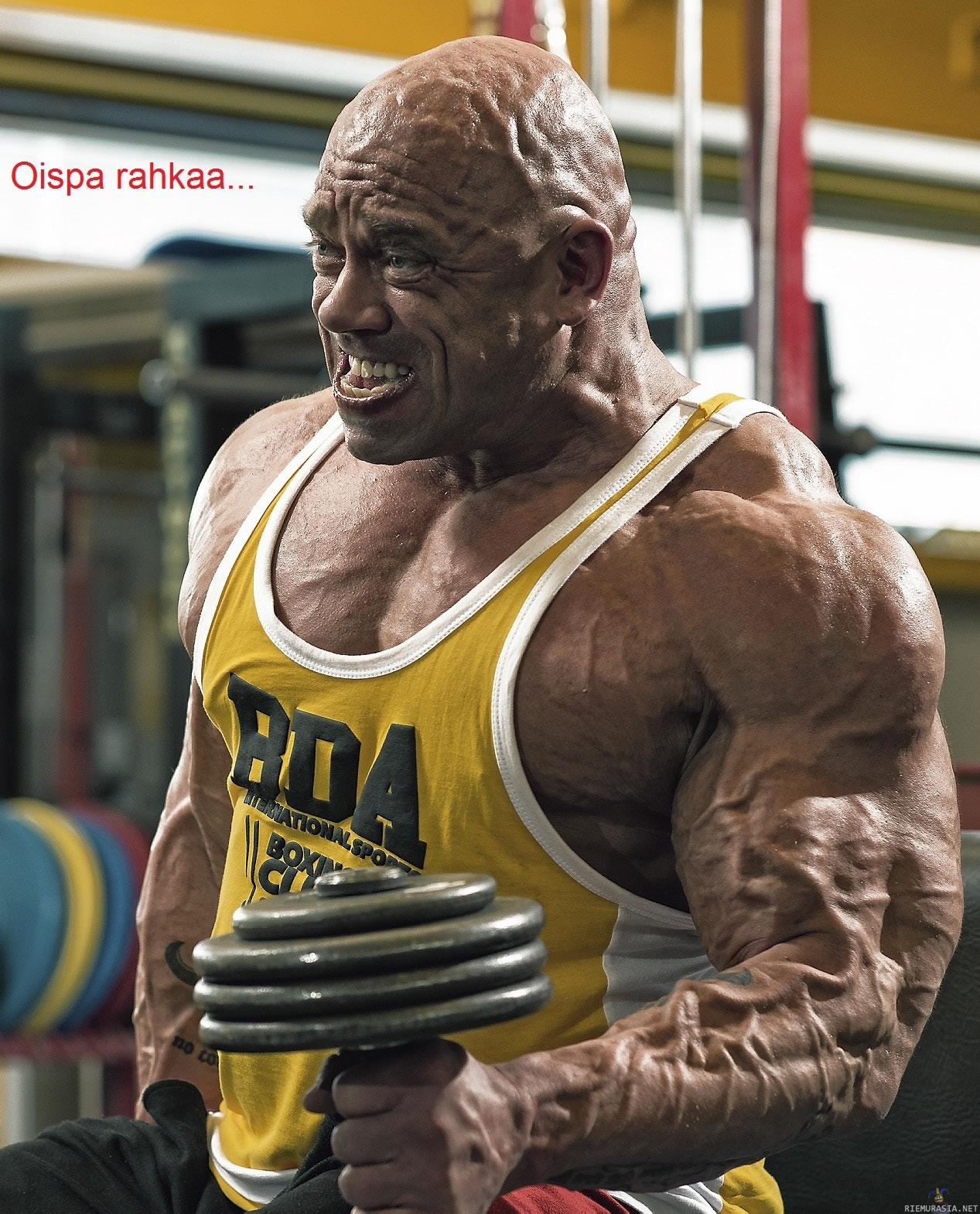 芬兰石头人杰瑞门图拉jarimentula