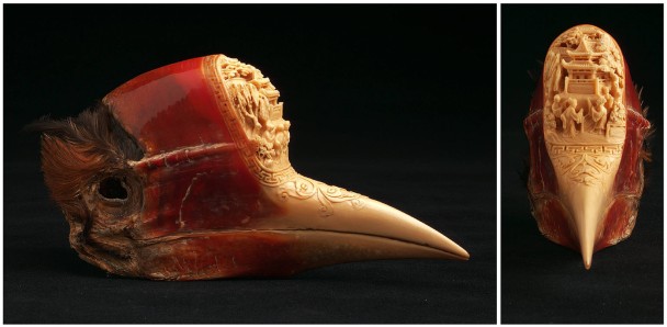 富人目标转向全球最奇怪的鸟类盔犀鸟的头骨