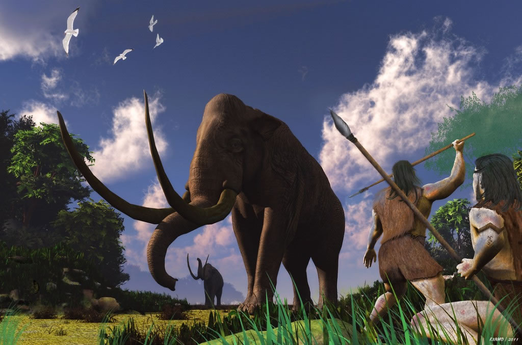 100万年前穴居人利用石器工具捕猎大象食用 增强自己脑力