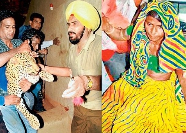 突然杀出一只花豹,意图由她怀中抢走初生女婴,救女心切的沙丹把女儿