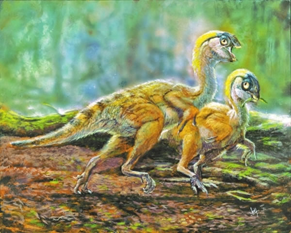 世界上最小的窃蛋龙迷你豫龙是如何被发现的