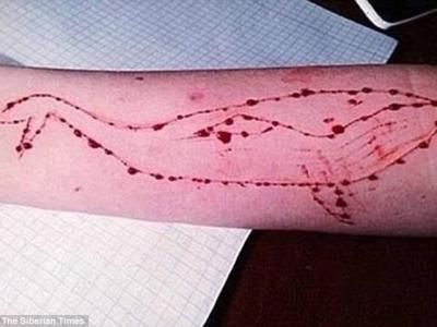 Ϸ˶˹Ӳ½Philipp Budeikin