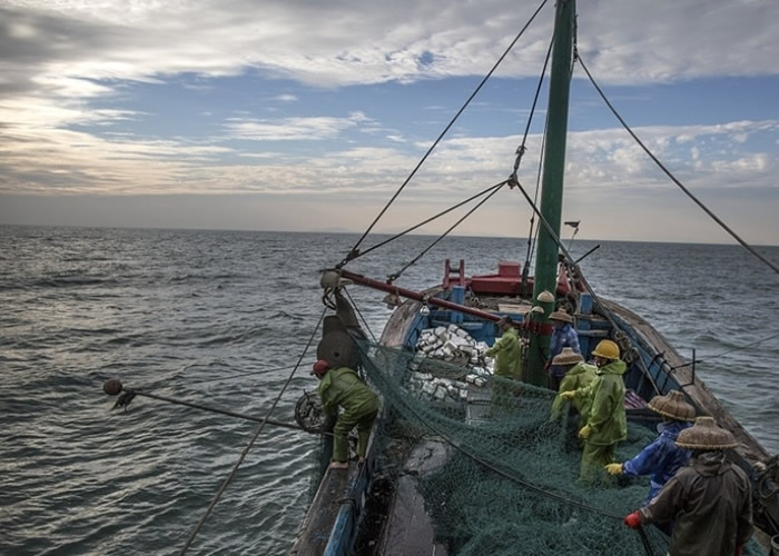 9名渔民出海捕鱼.