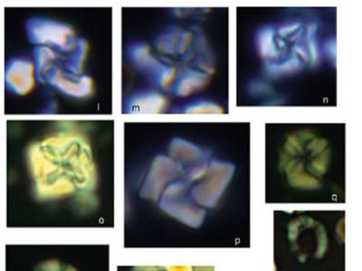 ɿСײγɵĻɽڼΪҡ