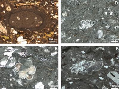 ɿСײγɵĻɽڼΪҡ