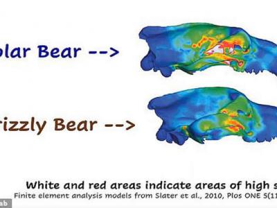 ܵľʳݱȻСǵȮݱȻܴΪǳԽ֬֯ΪܵͷǱɱ